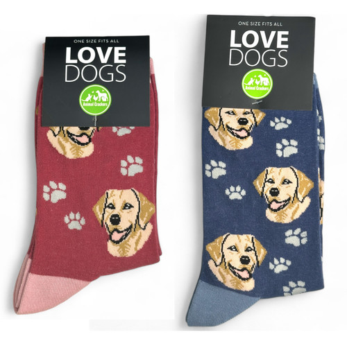 Golden labrador socken herren - labrador,